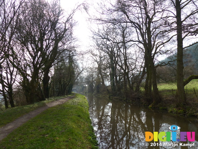 FZ003578 Trees by canal